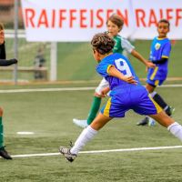 7b1a3cf9 78a9 41ef 84b4 e8e2eaac3814