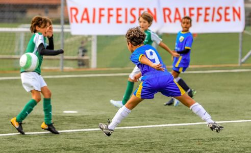 7b1a3cf9 78a9 41ef 84b4 e8e2eaac3814